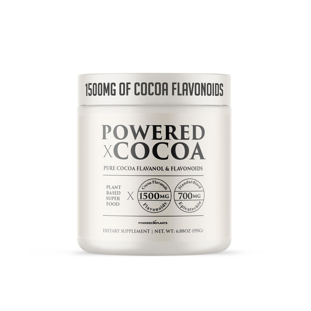 Powered X Plants High Flavanol Cocoa Powder close-up reveals rich cocoa texture.