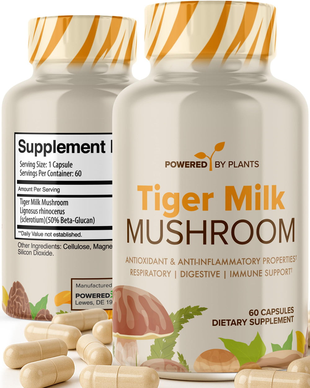 Powered X Plants Tiger Milk Mushroom 500mg capsule close-up for immune support and energy