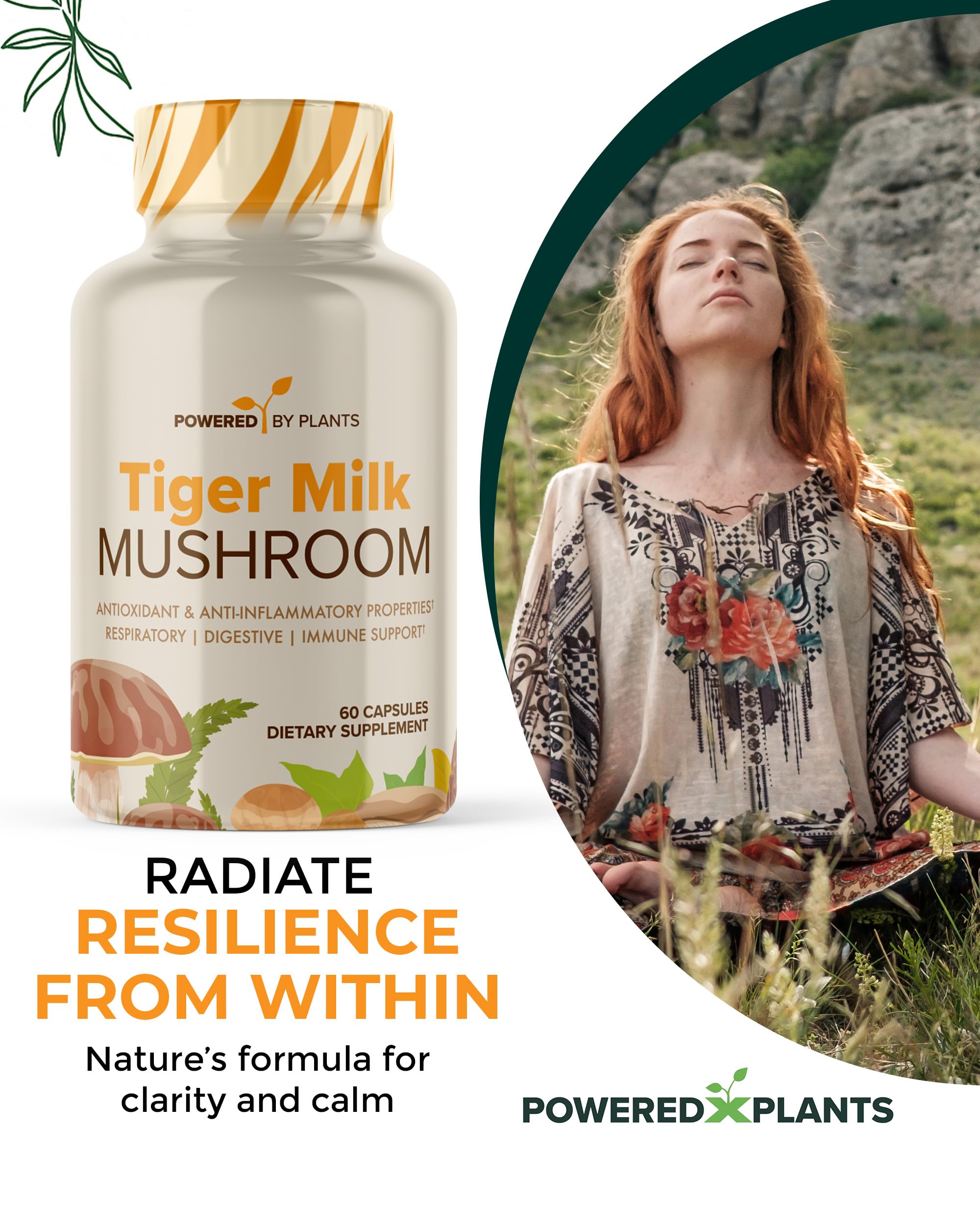 Powered X Plants Tiger Milk Mushroom capsule beside a notebook signaling cognitive clarity