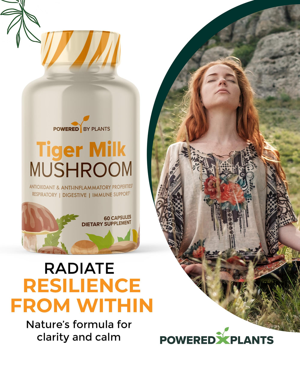 Powered X Plants Tiger Milk Mushroom capsule beside a notebook signaling cognitive clarity