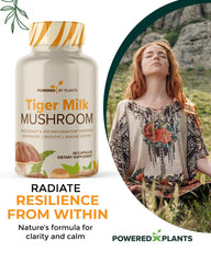 Powered X Plants Tiger Milk Mushroom capsule beside a notebook signaling cognitive clarity