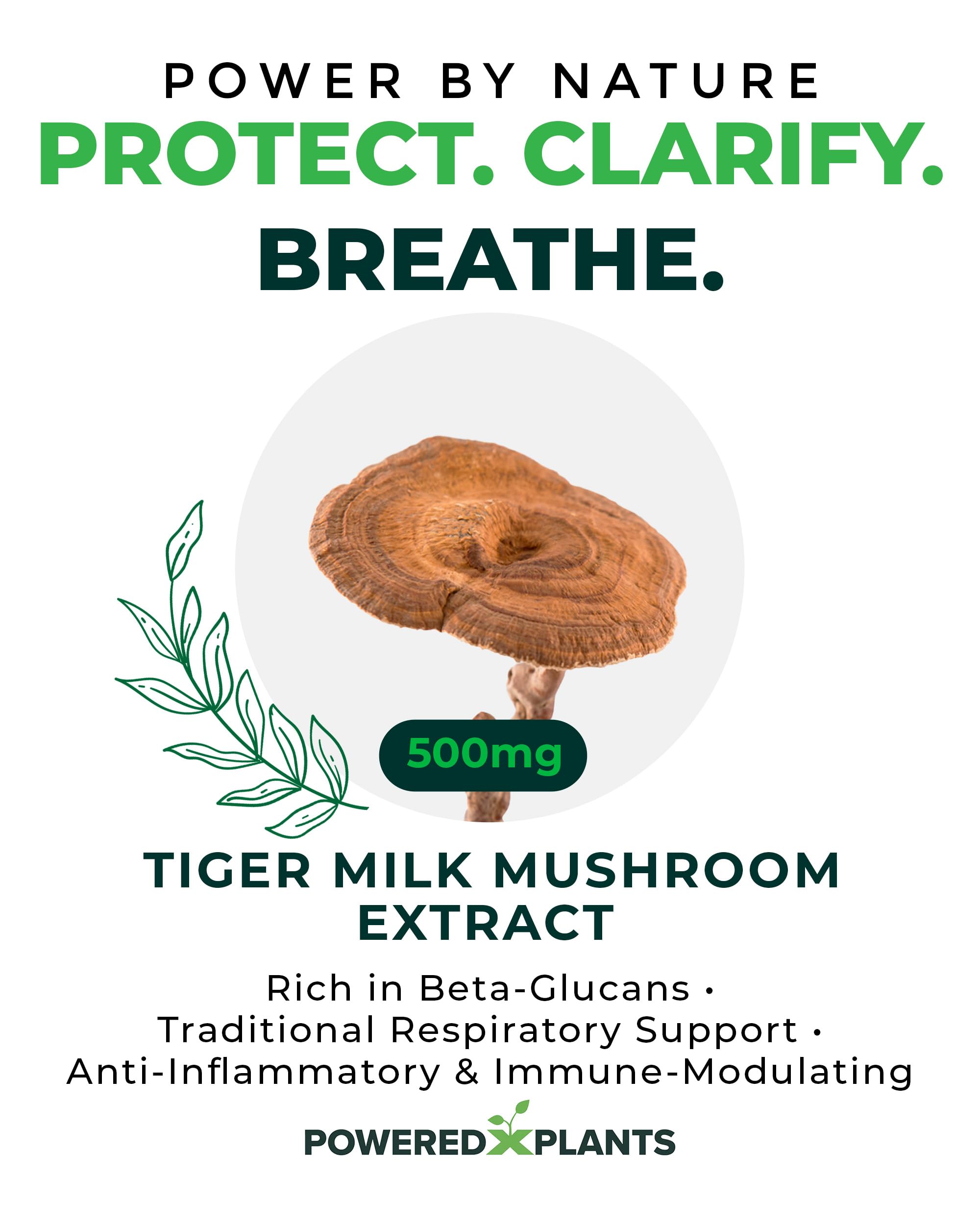 Powered X Plants Tiger Milk Mushroom with a soft scarf illustrating respiratory support