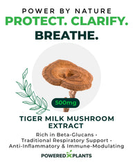 Powered X Plants Tiger Milk Mushroom with a soft scarf illustrating respiratory support