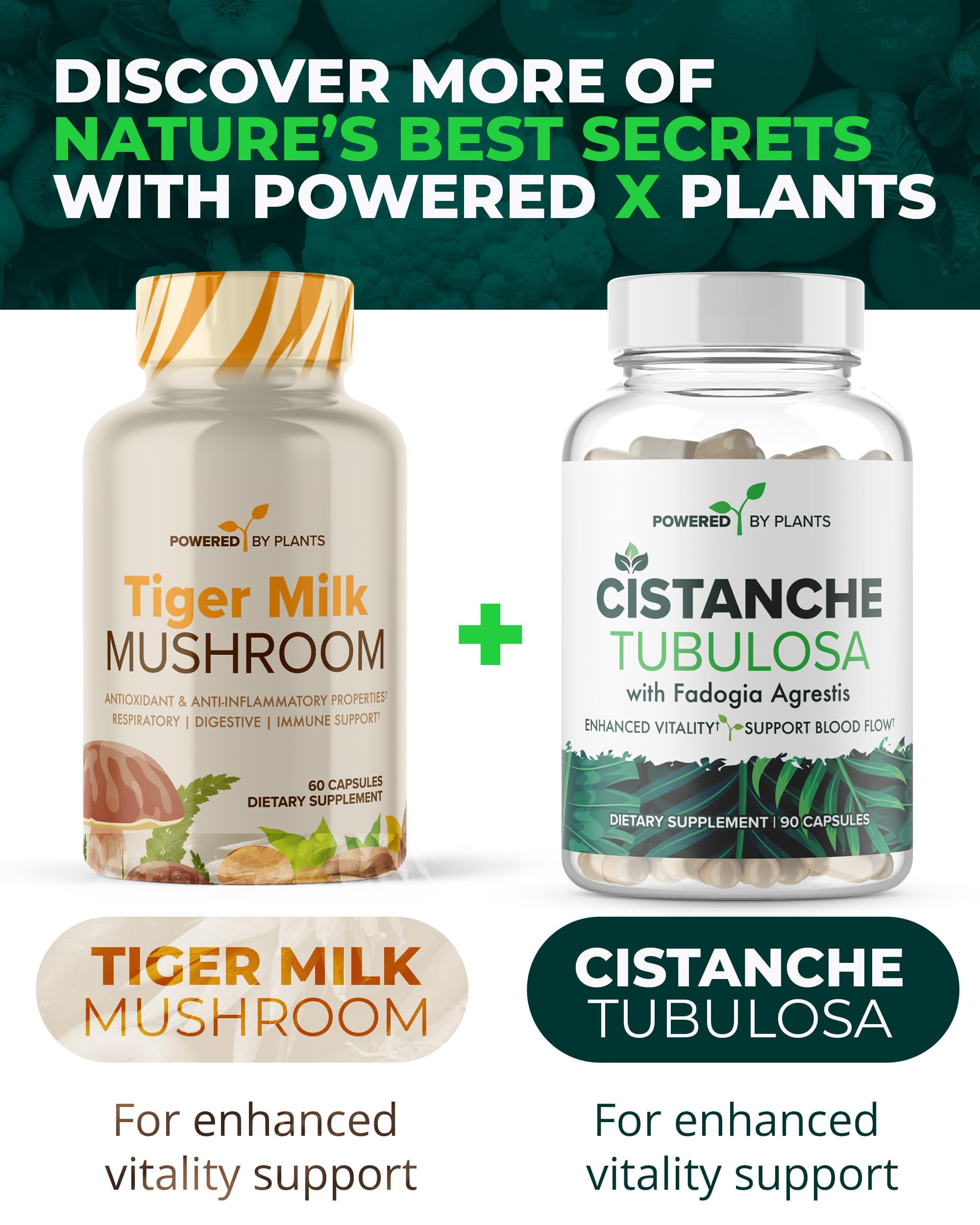 Powered X Plants Tiger Milk Mushroom USA-grown extract showcased in natural light