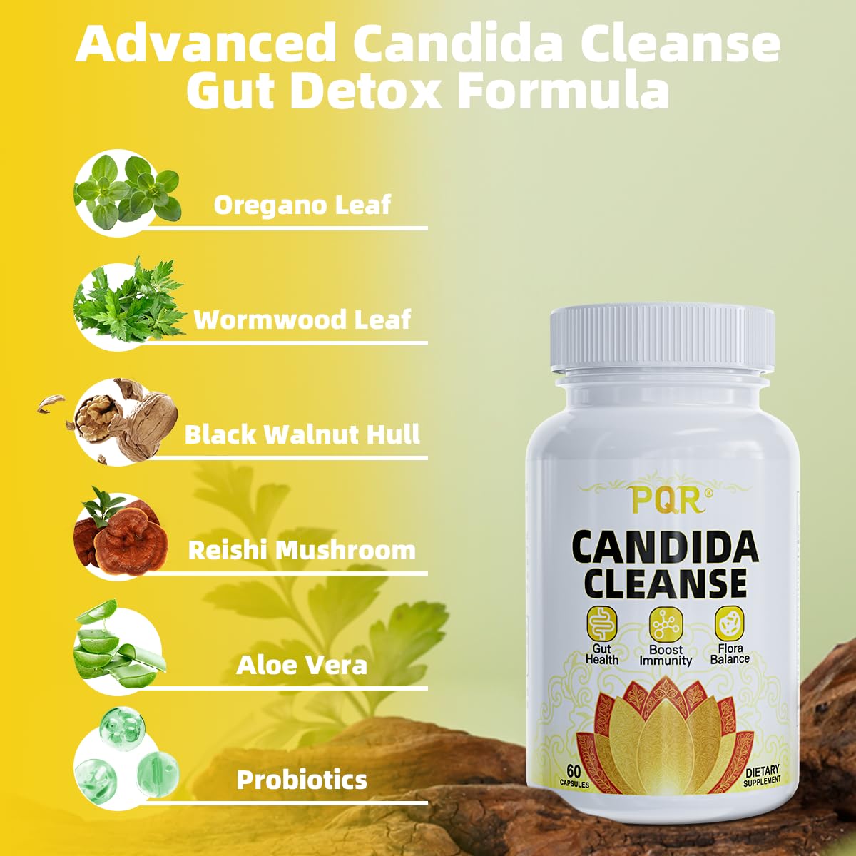 PQR Candida Cleanse 2-pack packaging showcases value and convenience.