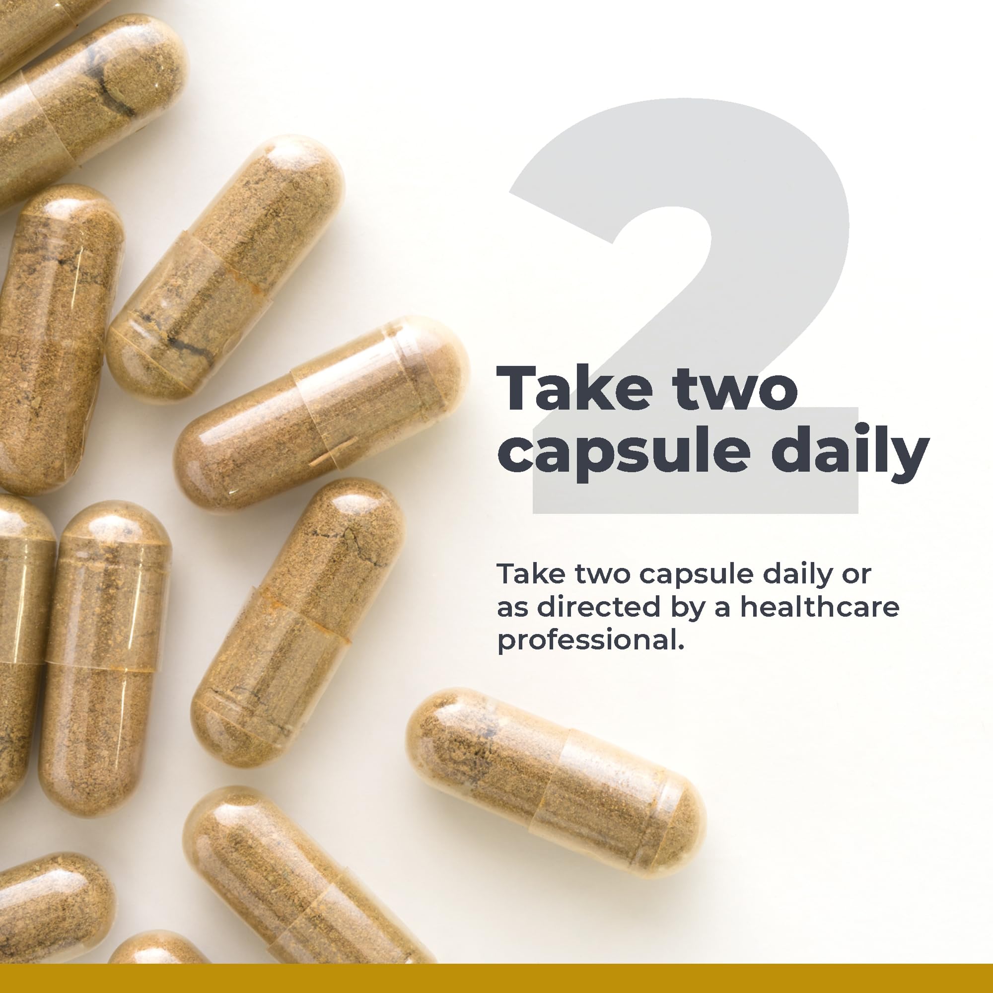 Premier Daily One milk thistle seed extract highlighting liver-support phytonutrients.