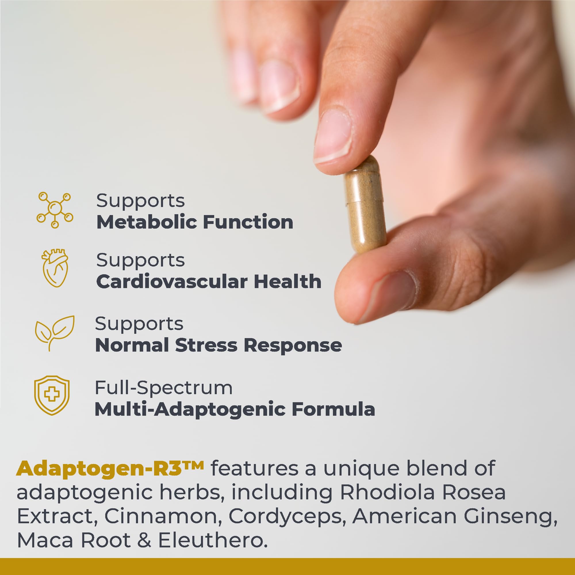 Rhodiola Rosea component from Adaptogen-R3 highlighting natural stress response support