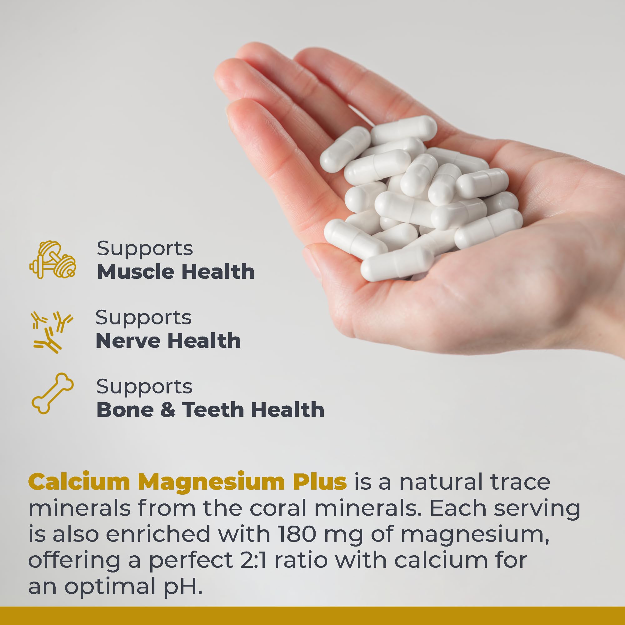 Premier Research Labs Calcium Magnesium Plus with mushroom complex lions mane and reishi for enhanced absorption