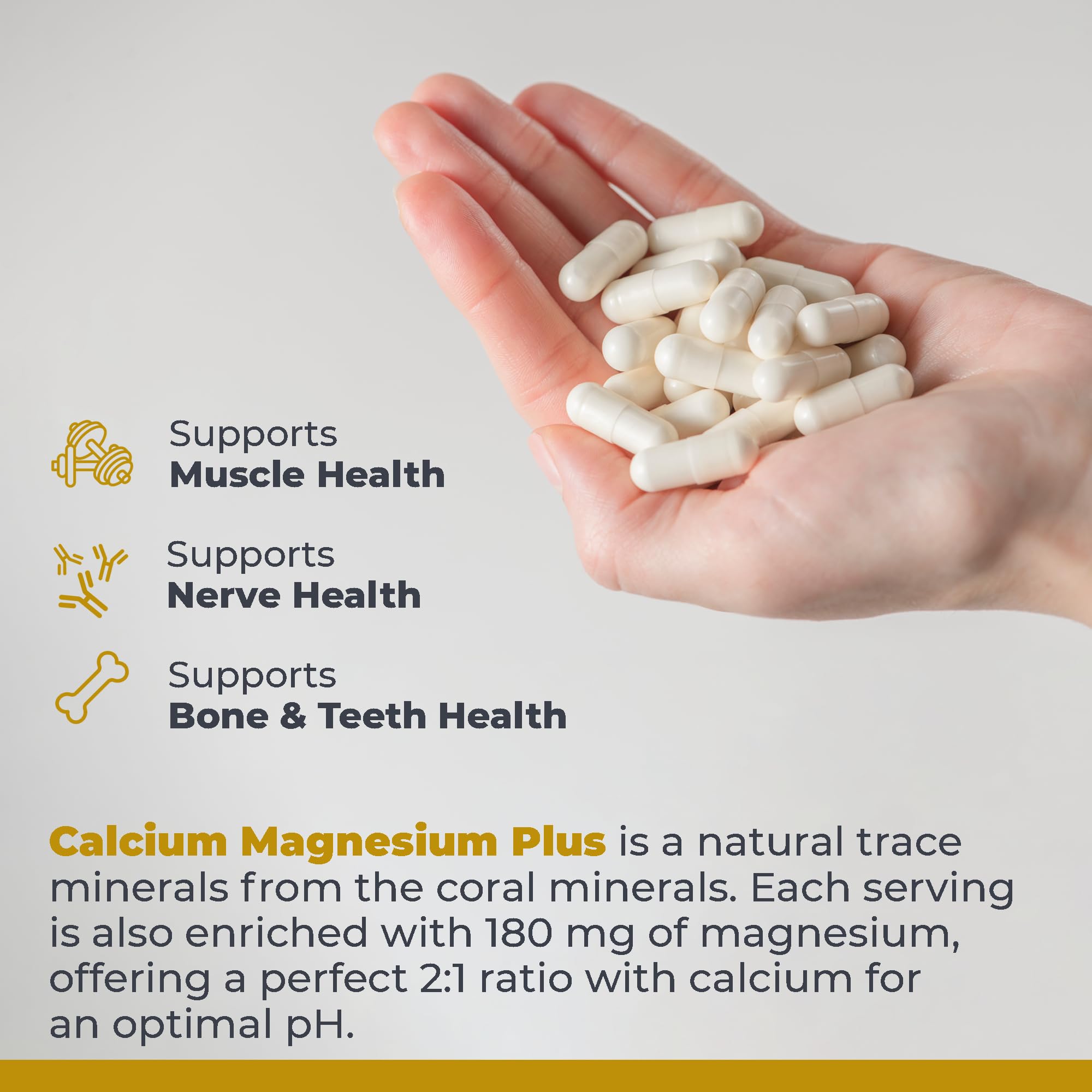 Premier Research Labs Calcium Magnesium Plus mushroom complex image highlights Lion's Mane and Reishi.