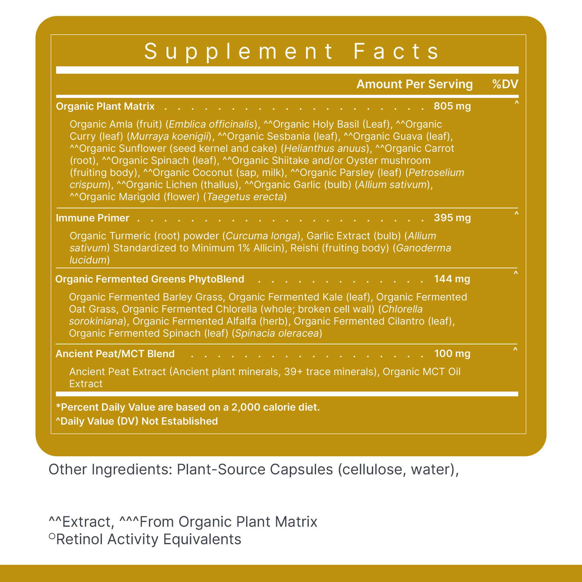 Premier Research Labs daily wellness scene emphasizing vegan, allergy-friendly nutrition for all adults.