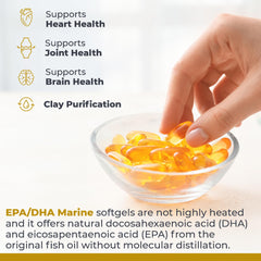 Label detail of Premier Research Labs EPA DHA showing purity and sourcing