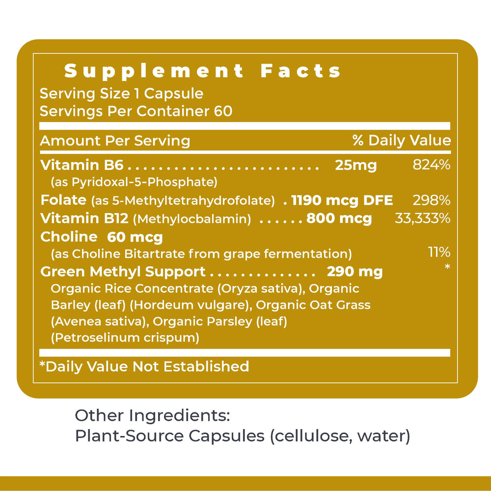 Premier Research Labs Phyto Methylate bottle on a clean shelf for easy access.
