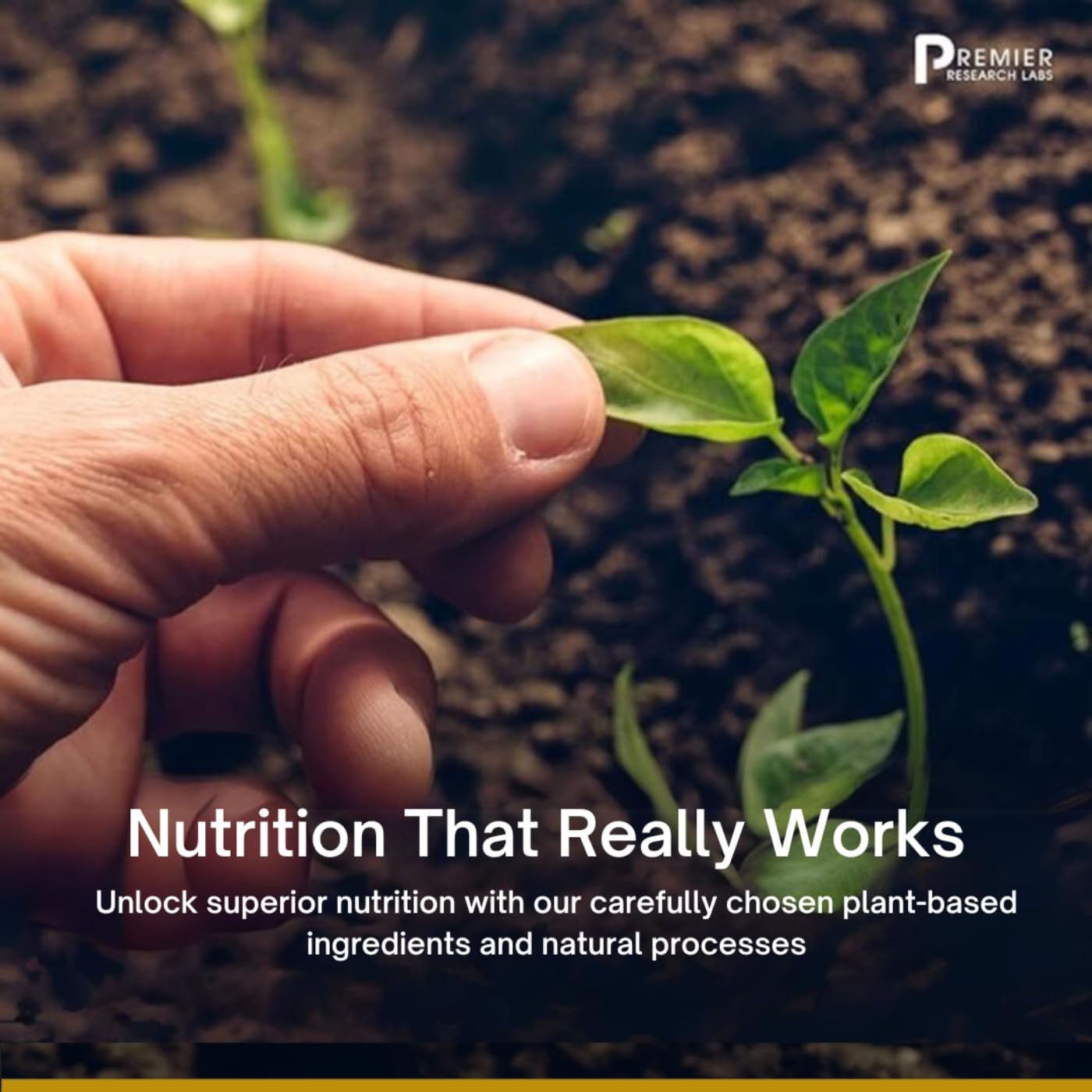 Premier HCL packaging communicates sustainability and global sourcing