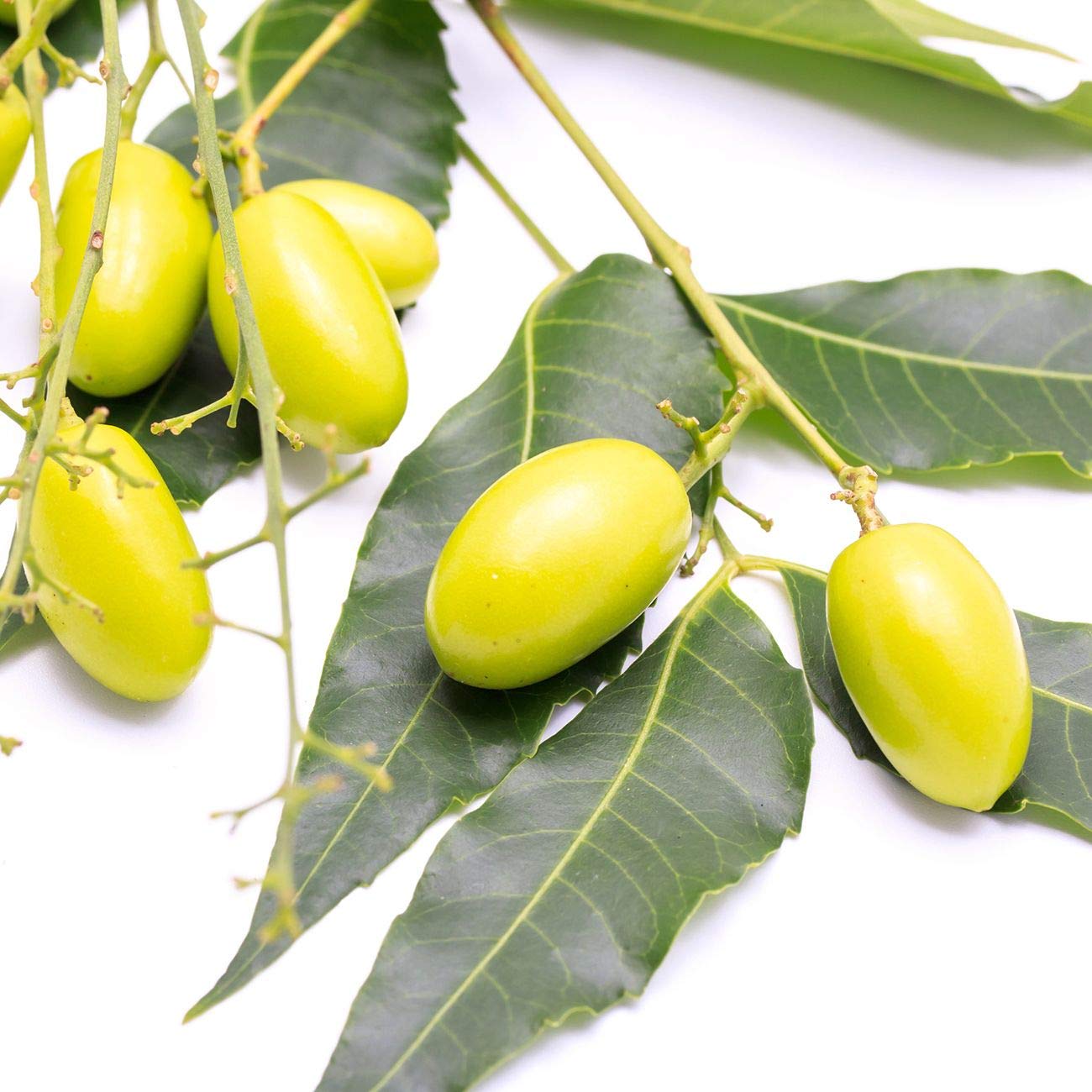 Premium Nature Neem Oil for hair care to support healthy shine and manageability.