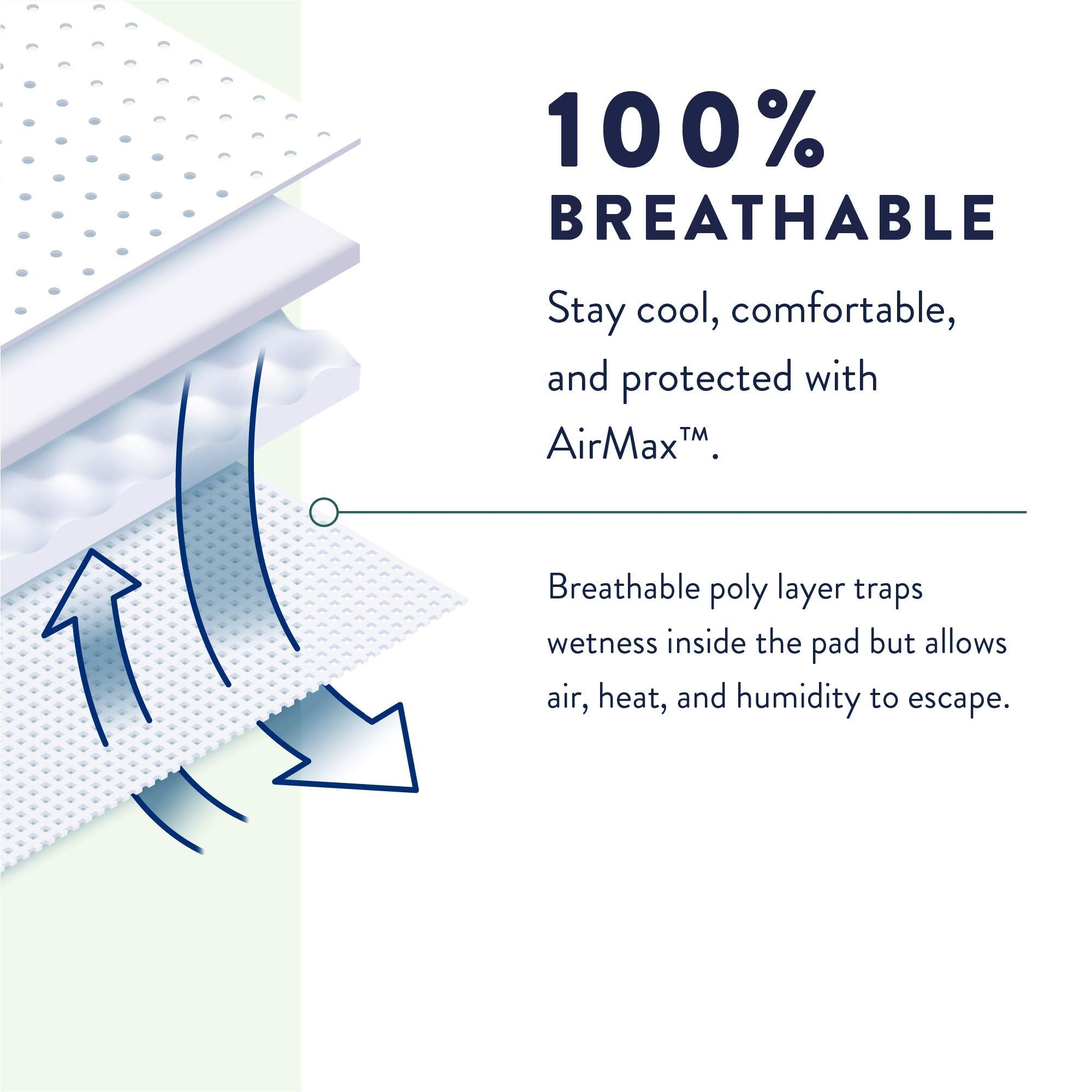 Cross section highlights the absorbent core of Prevail Overnight underwear