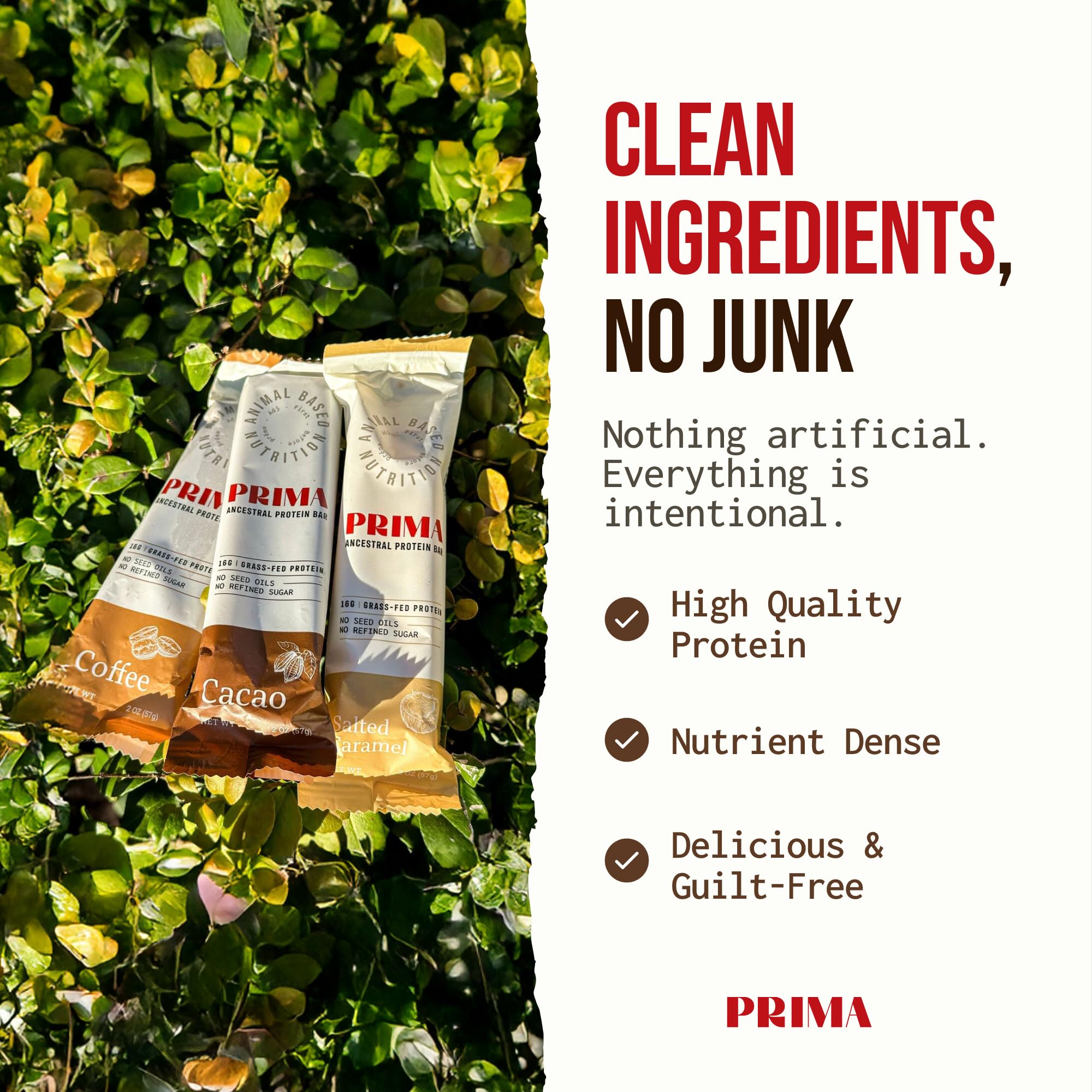 PRIMA ANCESTRAL PROTEIN BAR coffee flavor detail showcasing natural taste.