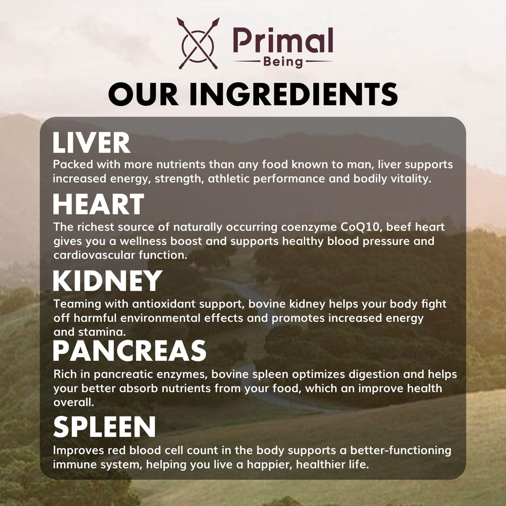Primal Being Beef Organs Spleen bottle highlights 600mg spleen per serving for resilience.