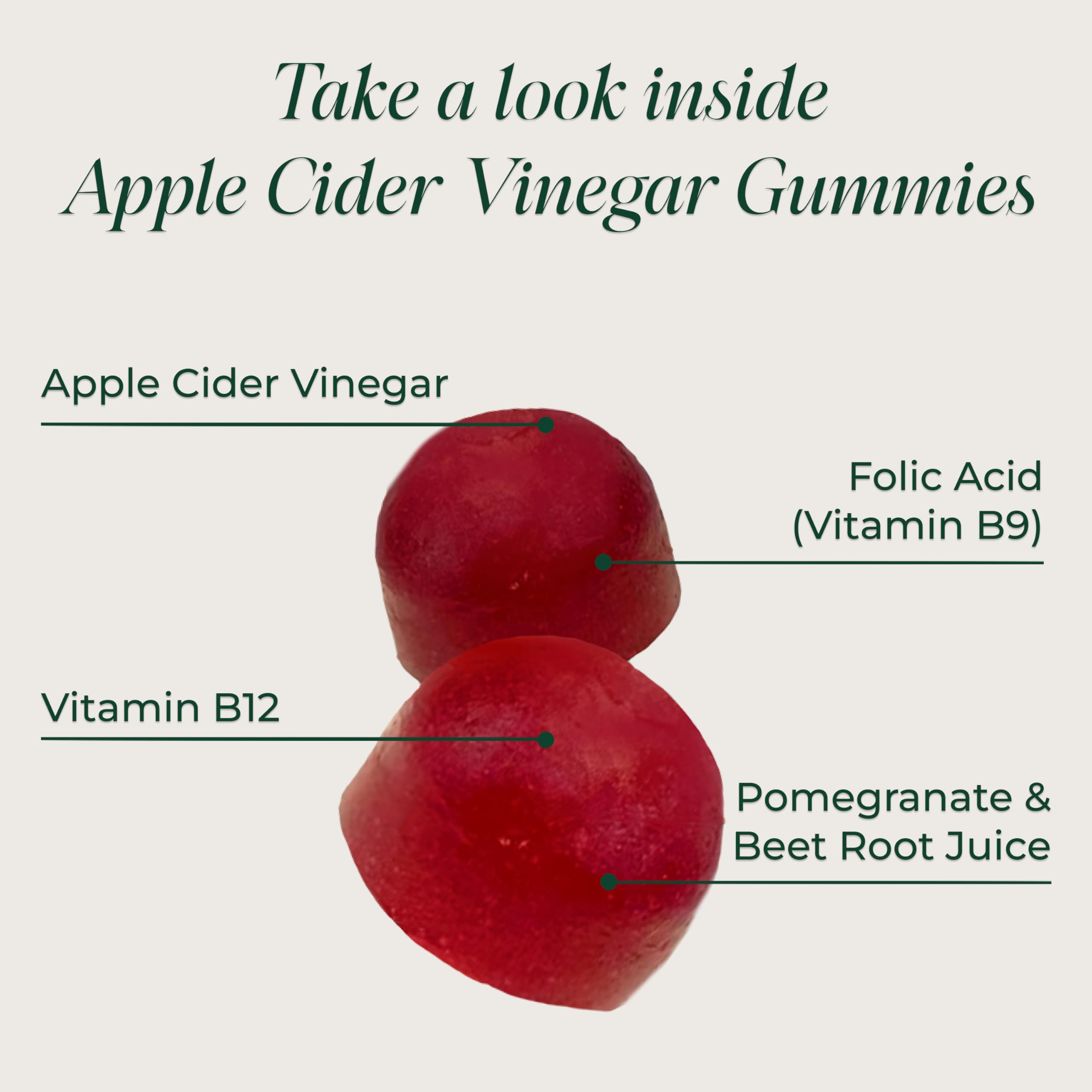 Primal Harvest ACV Gummies with pomegranate flavor for immune-friendly routine.