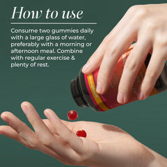 Primal Harvest ACV Gummies with B12 support energy metabolism.