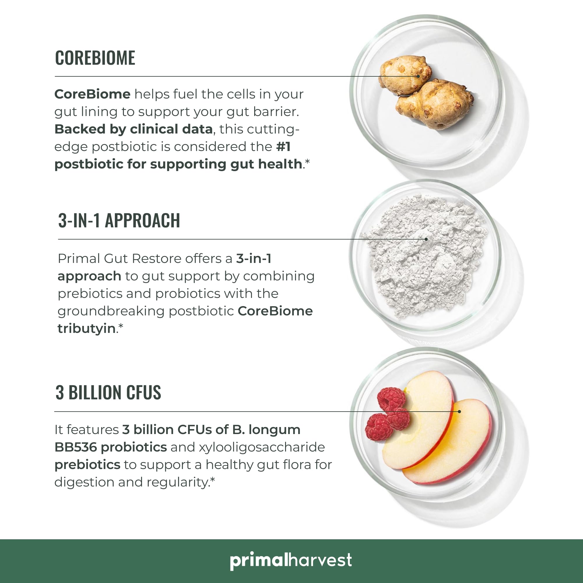 Primal Harvest B Longum BB536 probiotic strain promotes steady digestion.