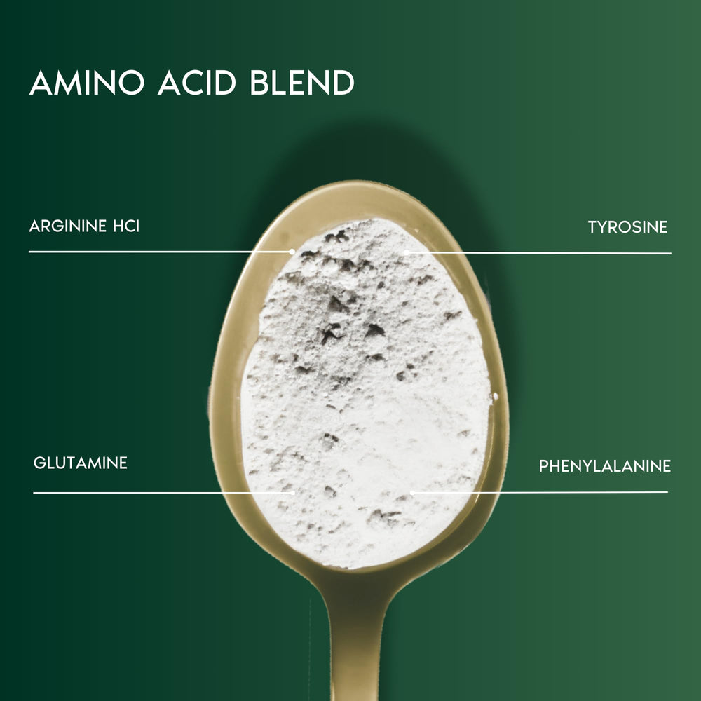 Primal Harvest Creatine powder label view, clean vegan formula for various lifestyles.