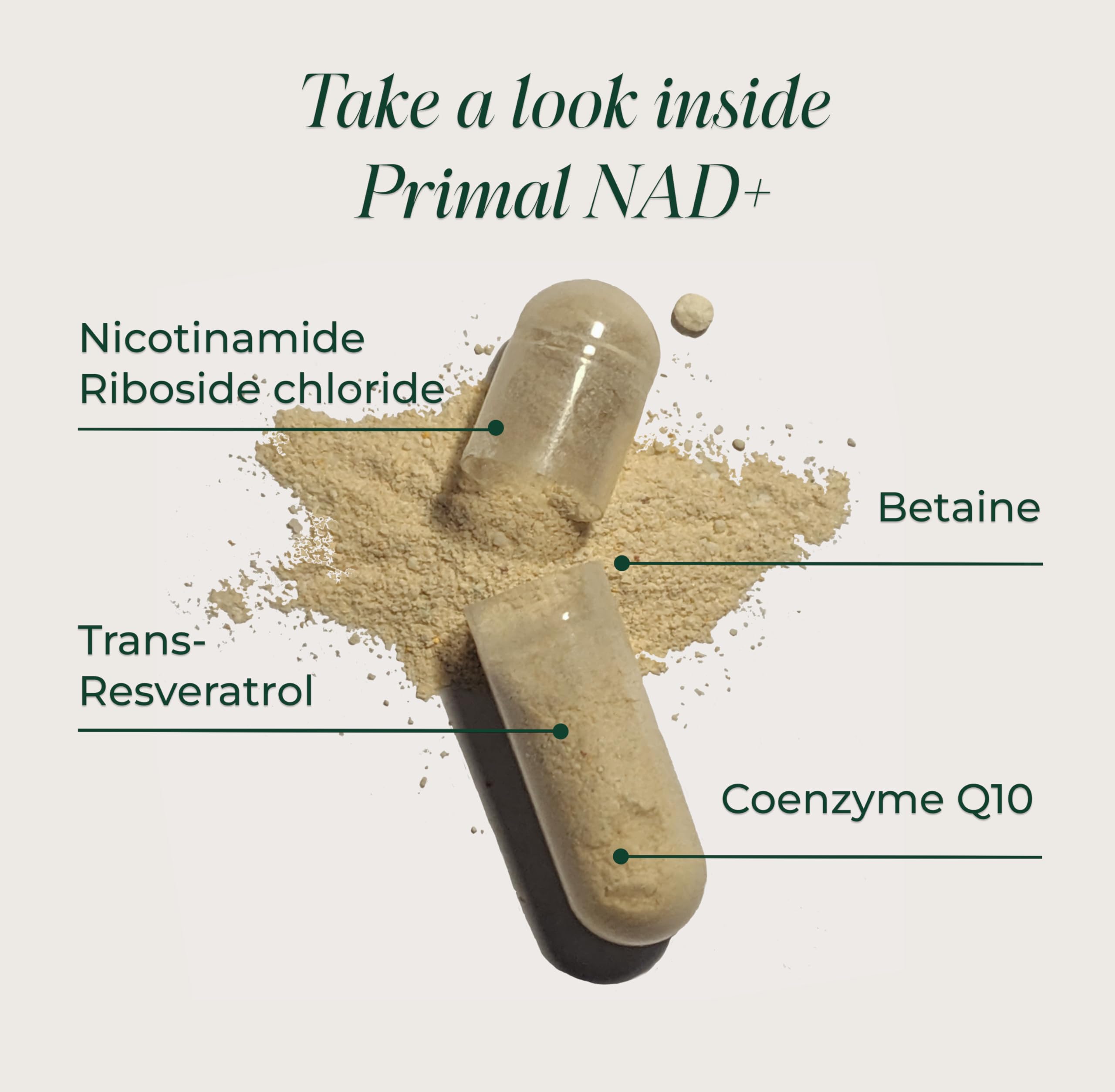 Primal Harvest NAD capsules close-up showing two-capsule daily dose to support cellular energy