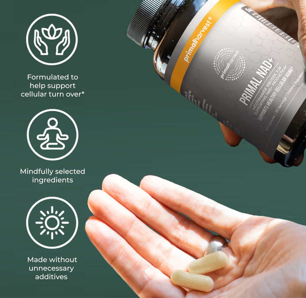 Primal Harvest NAD dosing close-up demonstrates two-capsule serving for practical use