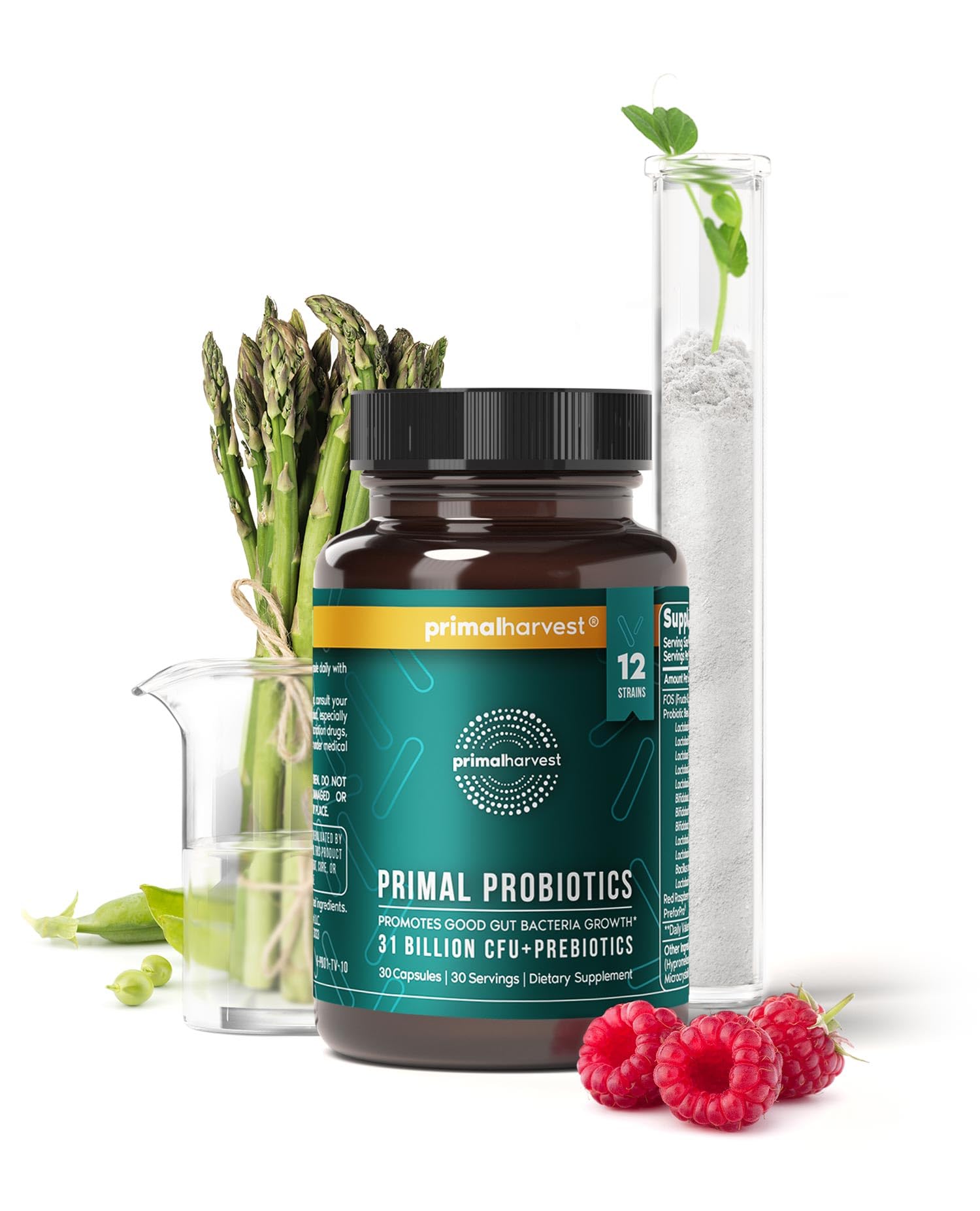 Primal Harvest Probiotics capsules in hand, daily intake example