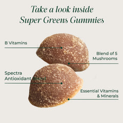 Visual of broccoli, spinach, kale and wheatgrass ingredients in Primal Greens