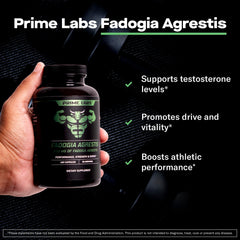 Close-up of Prime Labs Fadogia Agrestis capsules highlighting plant-based formula