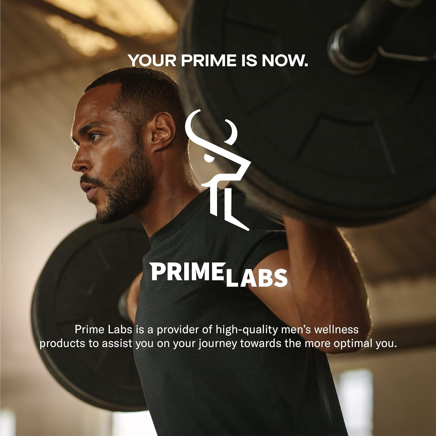 Energy and focus imagery around Prime Labs Fadogia Agrestis bottle