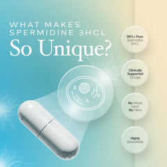 Prime Powders Spermidine gluten-free badge on packaging, ideal for gluten-sensitive users.