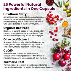 Close-up of PrimeMD 26-in-1 capsules illustrating three-capsule daily serving