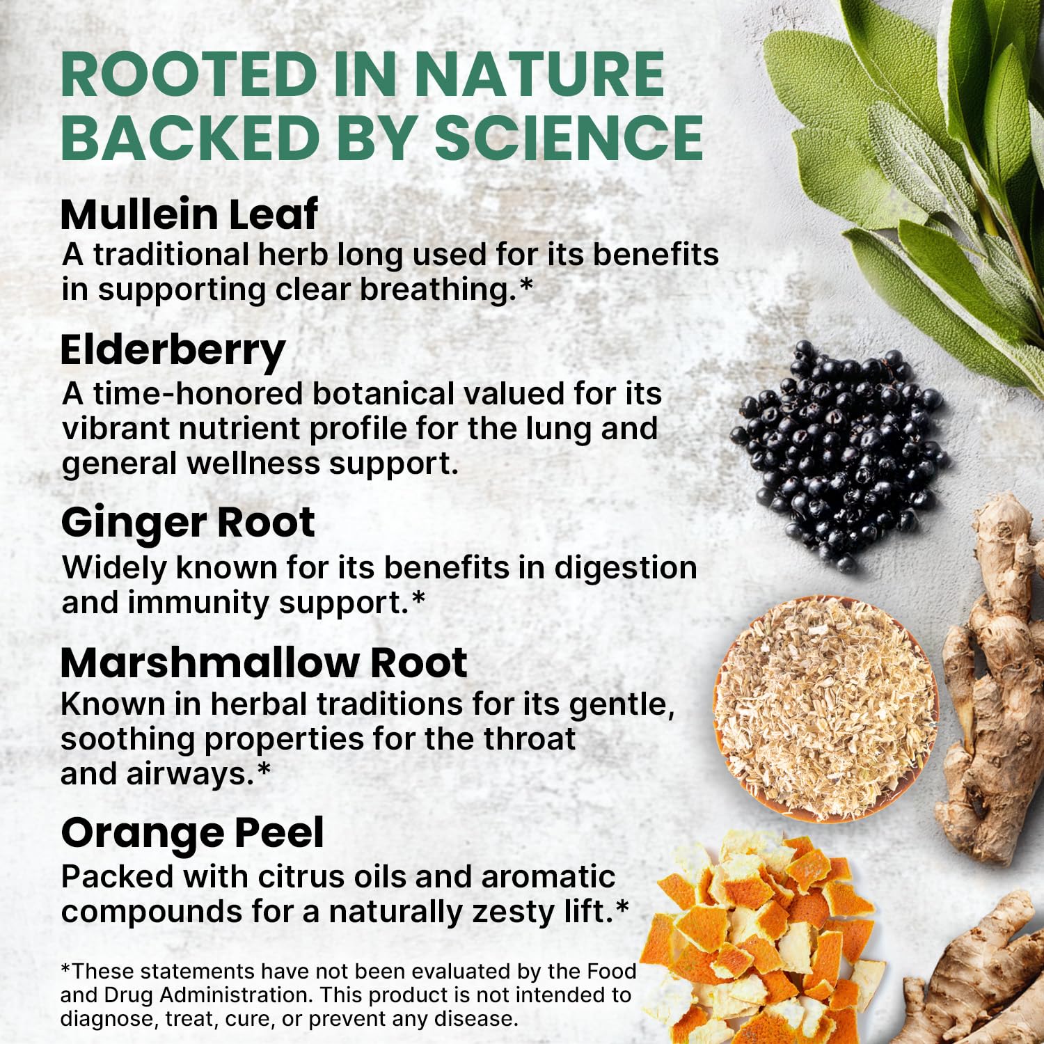 PrimeMD Mullein Drops ingredients with mullein leaves and herbs for natural support.