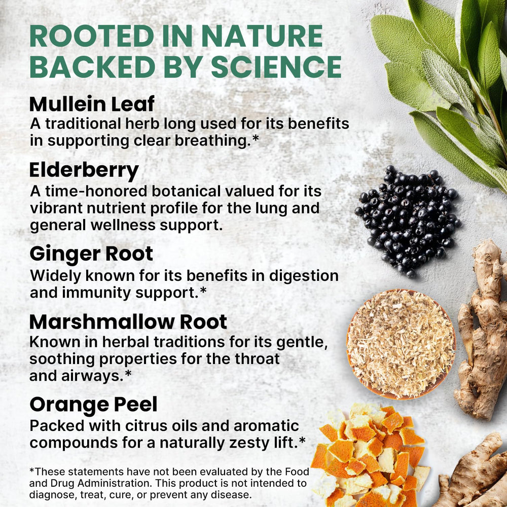PrimeMD Mullein Drops ingredients with mullein leaves and herbs for natural support.