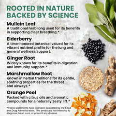 PrimeMD Mullein Drops ingredients with mullein leaves and herbs for natural support.