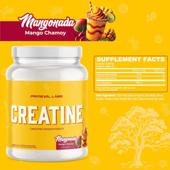Primeval Labs mangonada powder dissolves quickly for workouts and recovery.