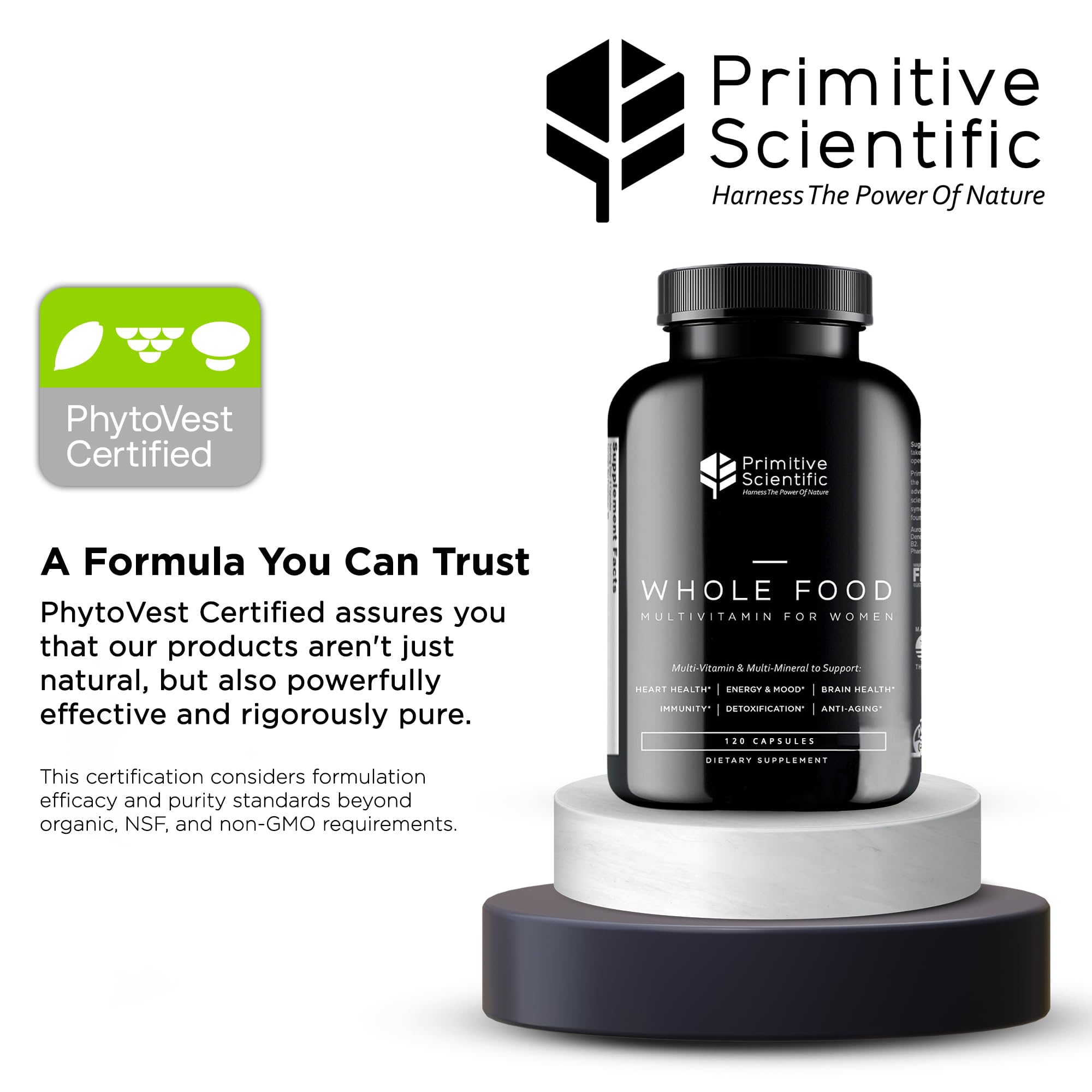 Primitive Scientific ingredients close-up featuring ginger and blueberries for natural nourishment