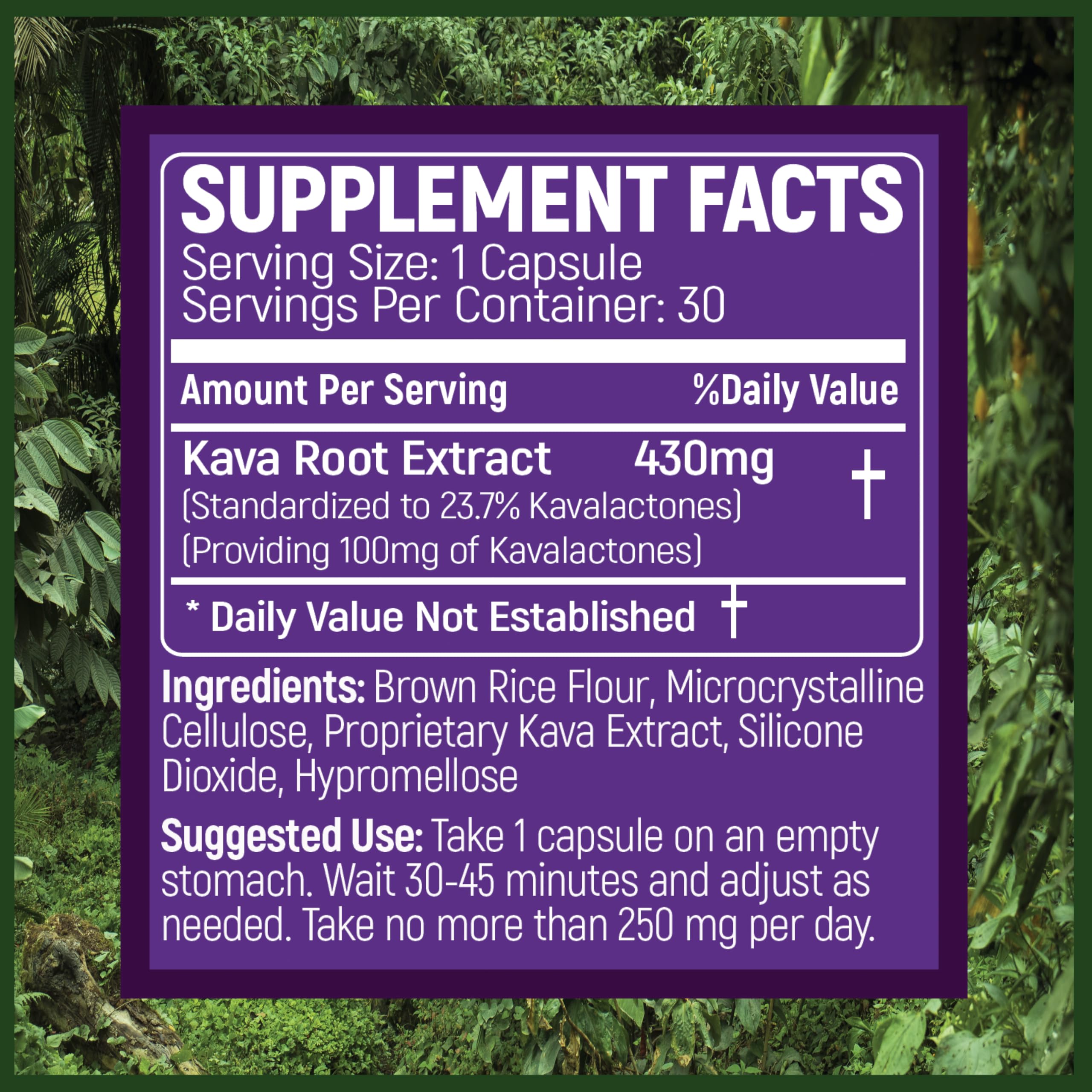 PRIMO KAVA capsules closeup shows 100 mg kavalactones for potency.