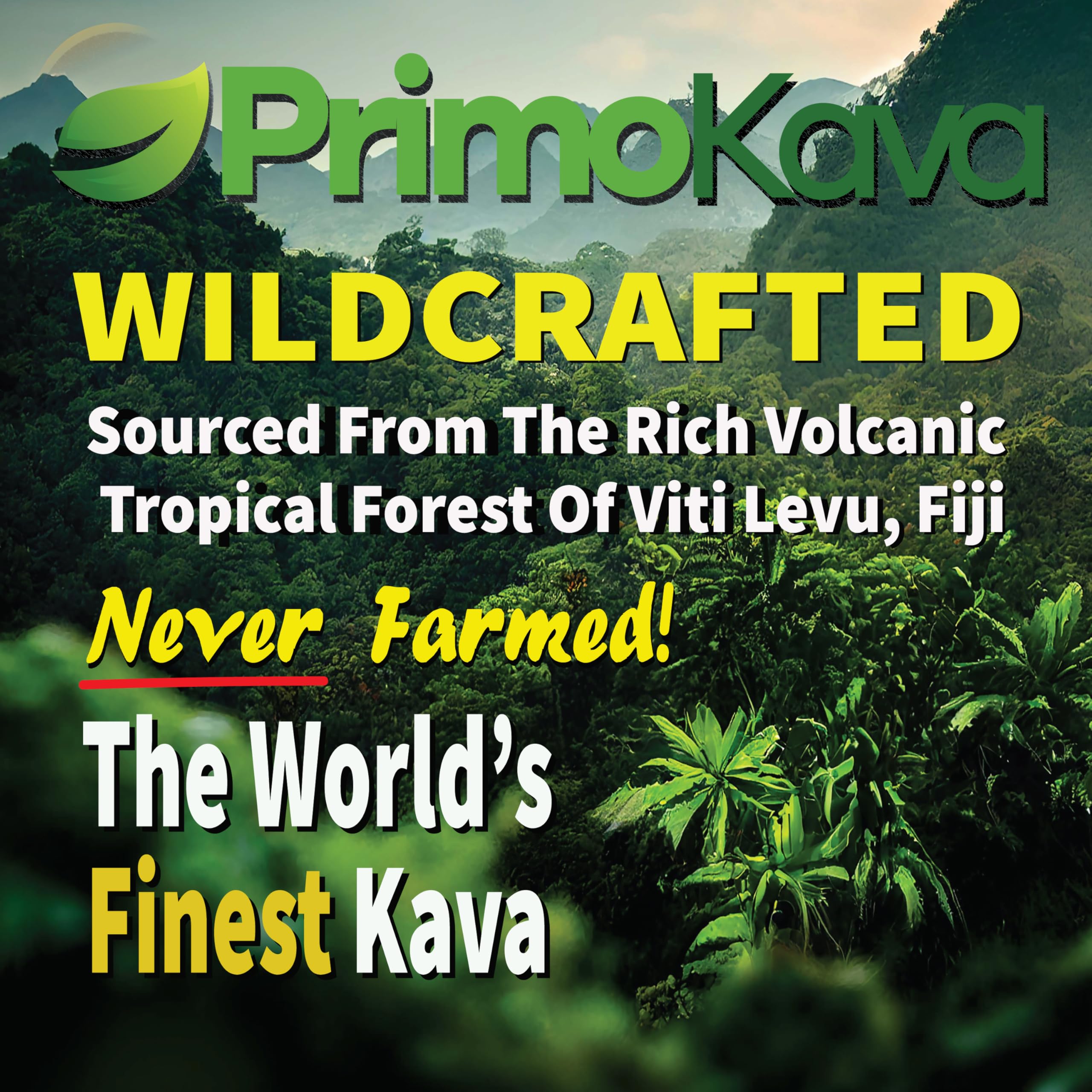 PRIMO KAVA Fiji roots harvest emphasizes natural, premium sourcing.