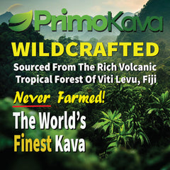 PRIMO KAVA Fiji roots harvest emphasizes natural, premium sourcing.