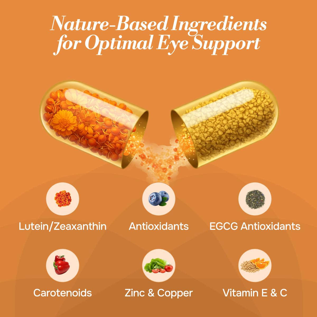 Ingredients list of Macutene Protect featuring zinc, vitamins C & E for eye wellness