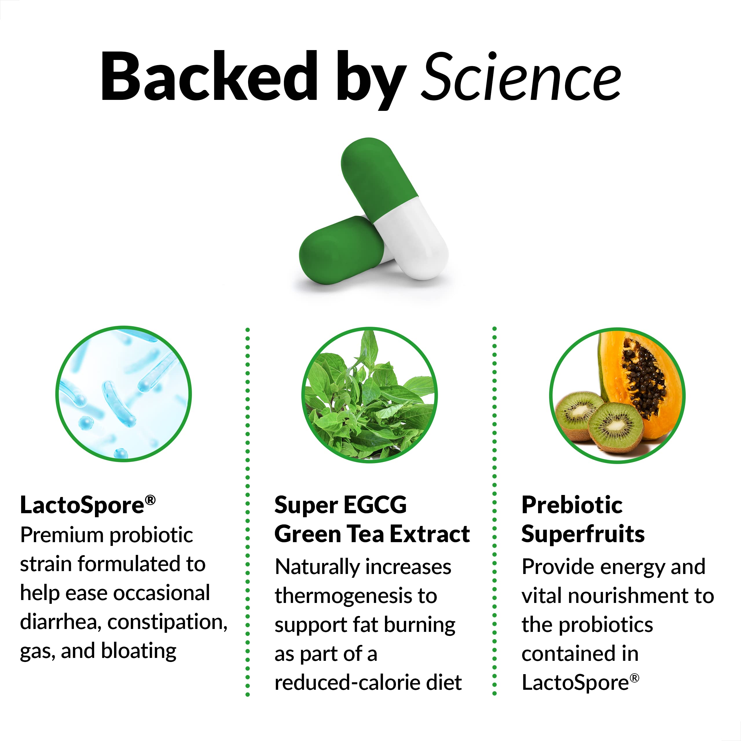 ProbioSlim label ingredients highlighting LactoSpore and green tea for energy