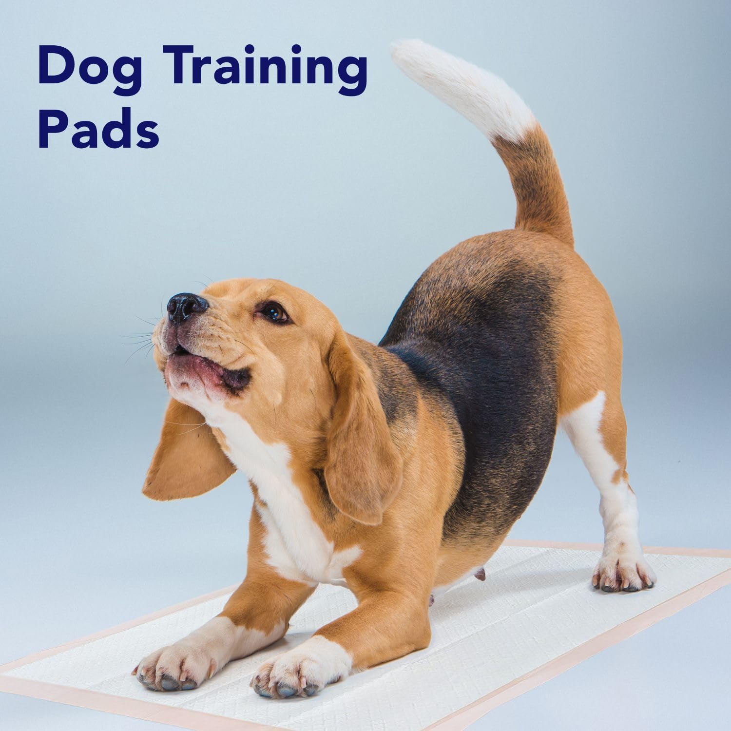 ProHeal peach color bed pad offers generous coverage for home care