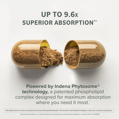 Prominent Nutrition Berberine Phytosome boxed packaging emphasizing vegan and gluten-free.