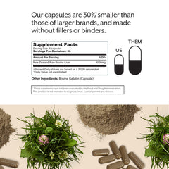 Promix Nutrition GMP facility image emphasizes quality and safety standards