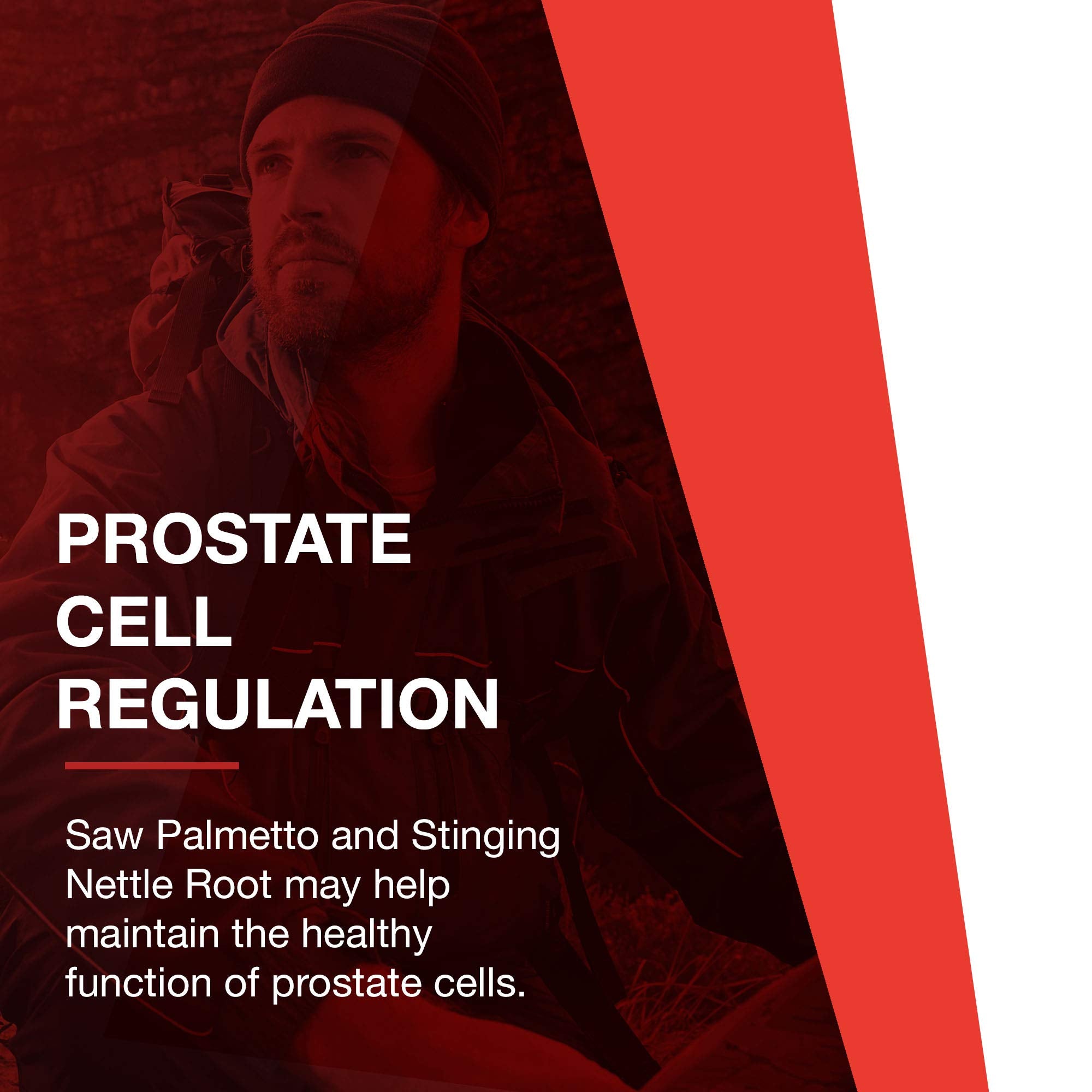 Protocol For Life Balance Ortho Prostate GMP badge signaling quality.