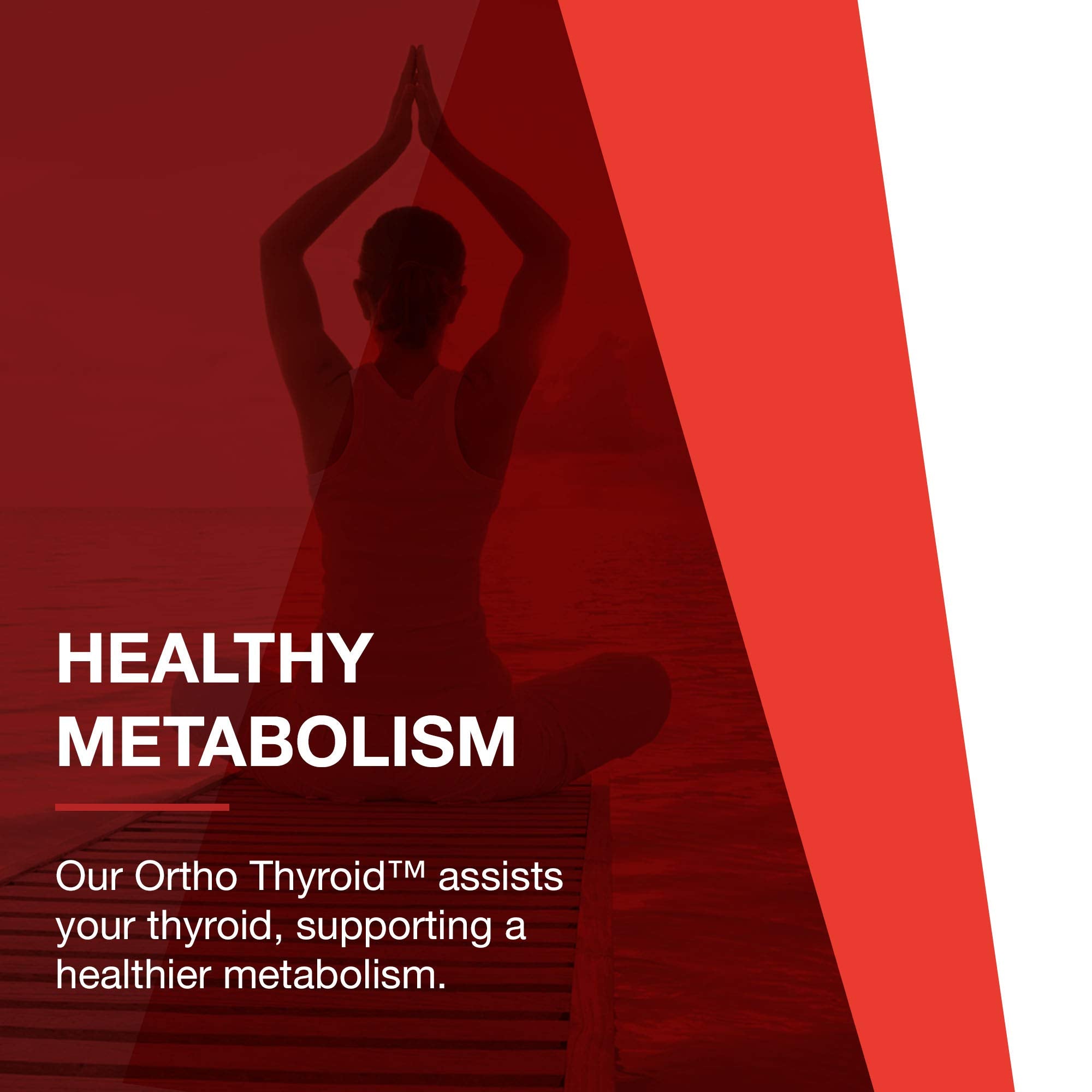 Protocol For Life Balance GMP seal emphasizing quality manufacturing standards.