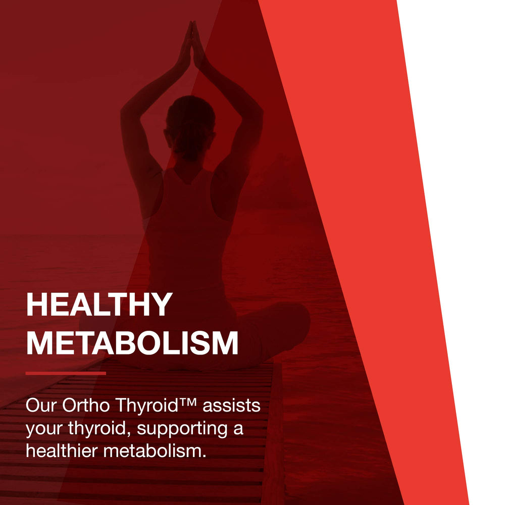 Protocol For Life Balance GMP seal emphasizing quality manufacturing standards.