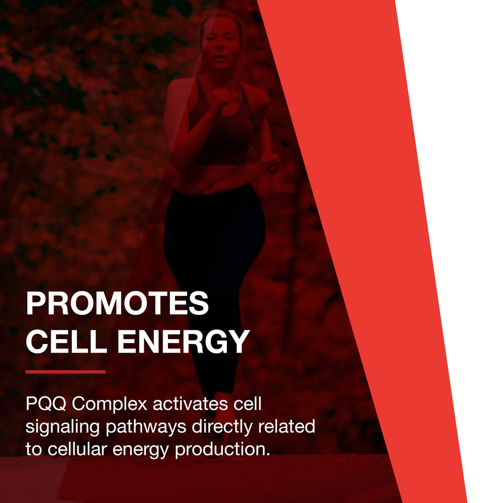PROTOCOL FOR LIFE BALANCE on-shelf display suggesting daily energy support